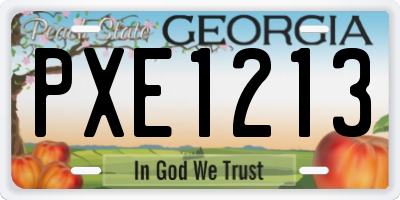 GA license plate PXE1213