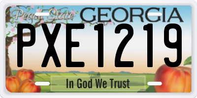 GA license plate PXE1219