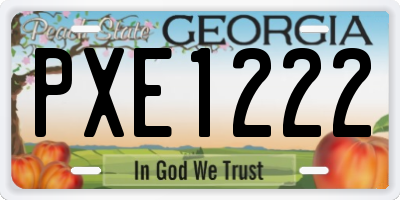 GA license plate PXE1222