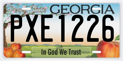 GA license plate PXE1226