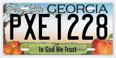 GA license plate PXE1228