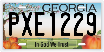GA license plate PXE1229