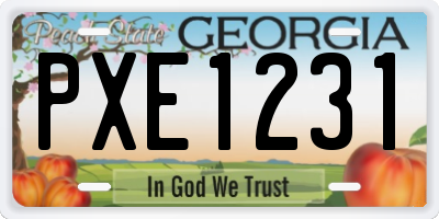 GA license plate PXE1231