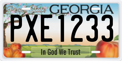 GA license plate PXE1233