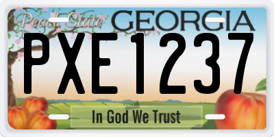 GA license plate PXE1237