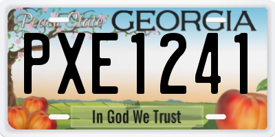 GA license plate PXE1241