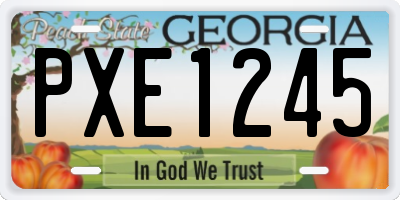 GA license plate PXE1245