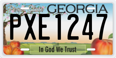 GA license plate PXE1247