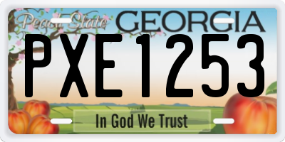 GA license plate PXE1253