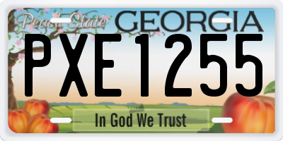 GA license plate PXE1255