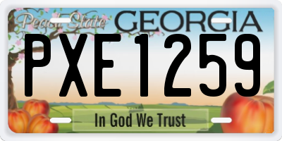 GA license plate PXE1259
