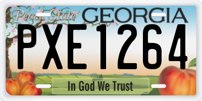 GA license plate PXE1264