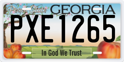 GA license plate PXE1265
