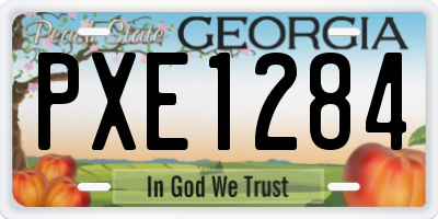 GA license plate PXE1284
