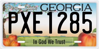 GA license plate PXE1285