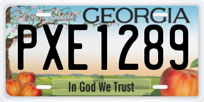 GA license plate PXE1289
