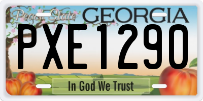GA license plate PXE1290