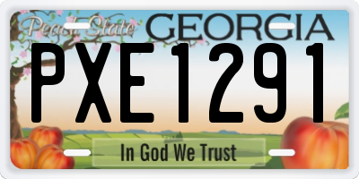 GA license plate PXE1291