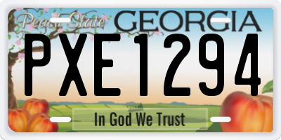 GA license plate PXE1294