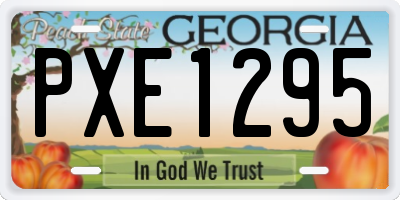 GA license plate PXE1295