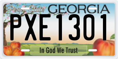 GA license plate PXE1301