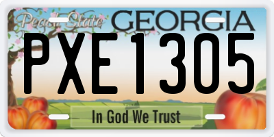 GA license plate PXE1305