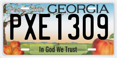 GA license plate PXE1309