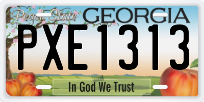 GA license plate PXE1313