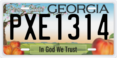 GA license plate PXE1314