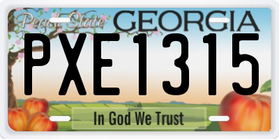 GA license plate PXE1315