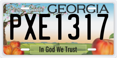 GA license plate PXE1317