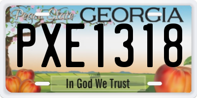 GA license plate PXE1318