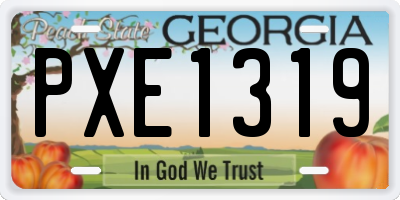 GA license plate PXE1319