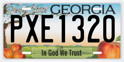 GA license plate PXE1320