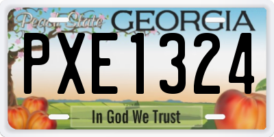 GA license plate PXE1324
