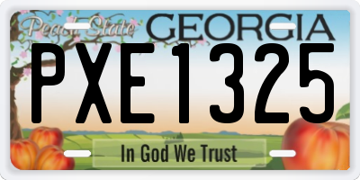 GA license plate PXE1325