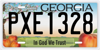 GA license plate PXE1328