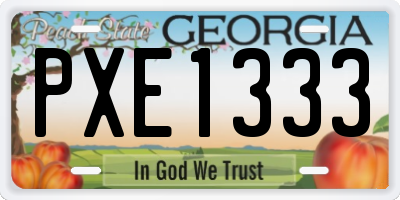 GA license plate PXE1333