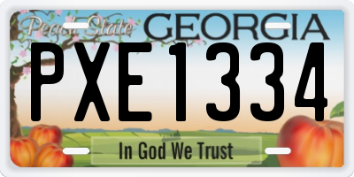 GA license plate PXE1334