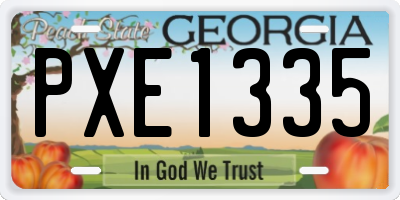 GA license plate PXE1335