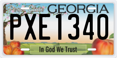 GA license plate PXE1340