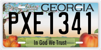 GA license plate PXE1341