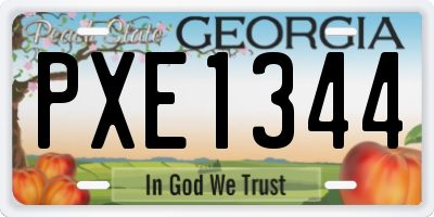 GA license plate PXE1344
