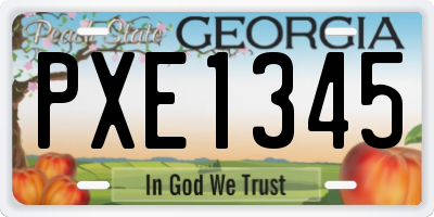 GA license plate PXE1345