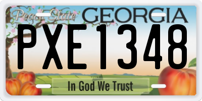 GA license plate PXE1348