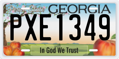 GA license plate PXE1349
