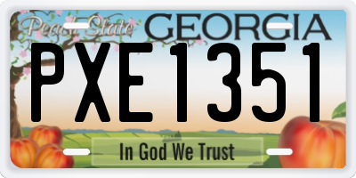 GA license plate PXE1351