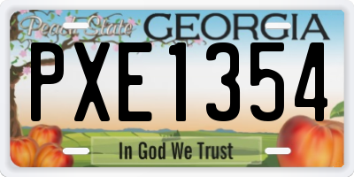 GA license plate PXE1354