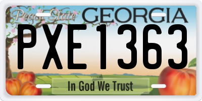 GA license plate PXE1363