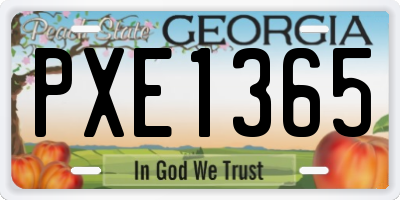 GA license plate PXE1365